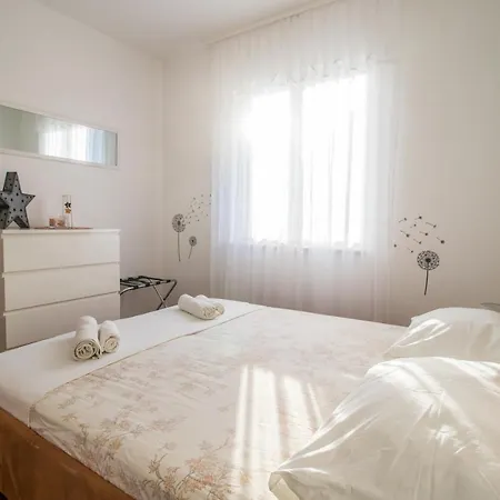 Summer Nest *